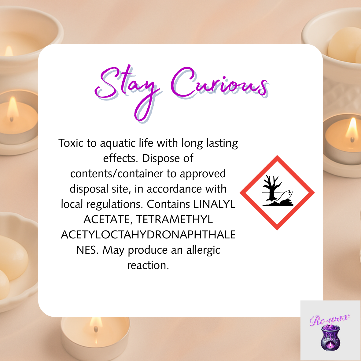 Stay Curious Snapbar