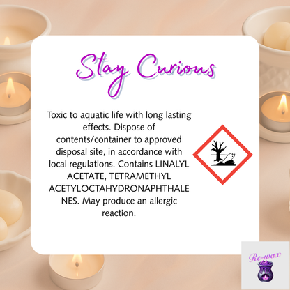 Stay Curious Snapbar