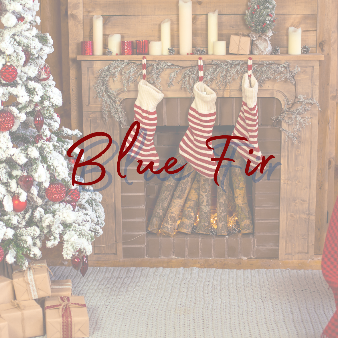 Blue Fir Christmas Snapbar