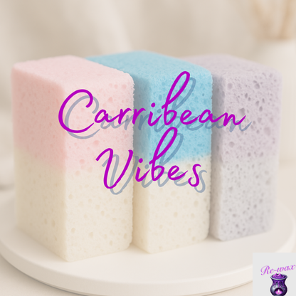 Soap Sponges - Half Sponges