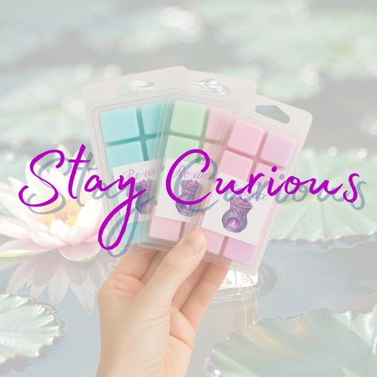 Stay Curious Snapbar