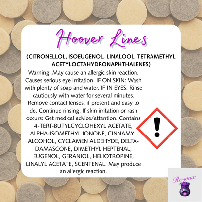 Hoover Lines Vacuum Disks