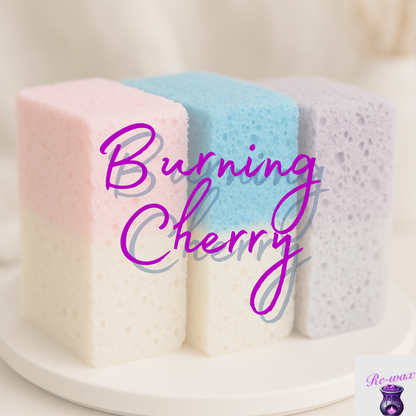 Soap Sponges - Half Sponges