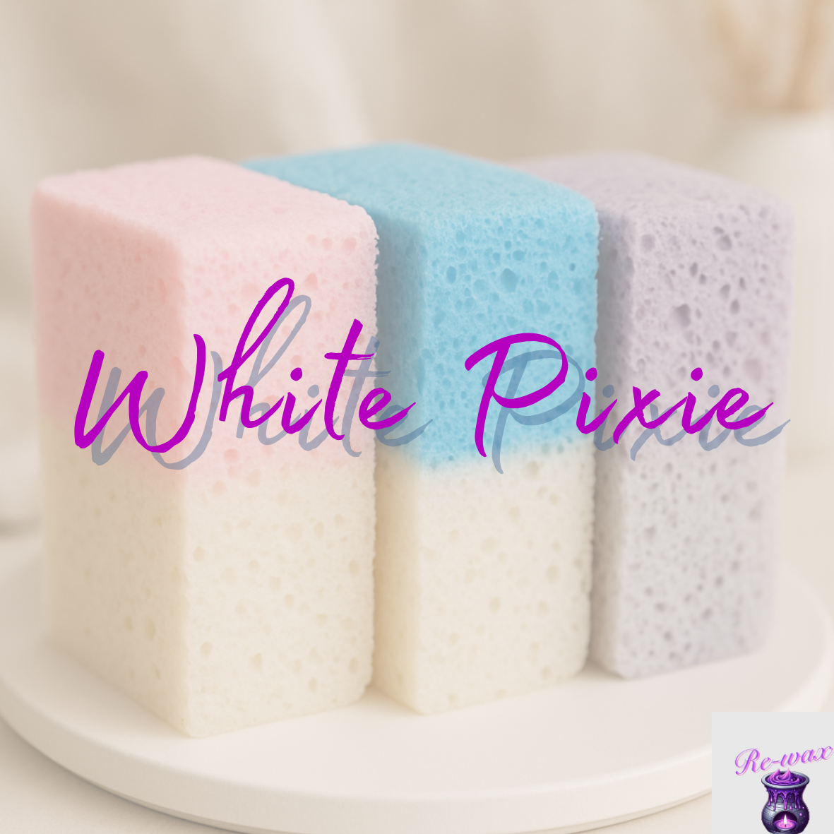 Soap Sponges - Full Sponges