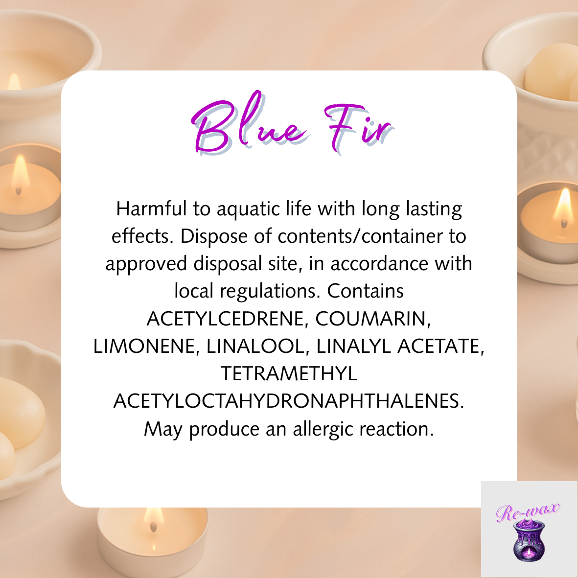 Blue Fir Christmas Snapbar